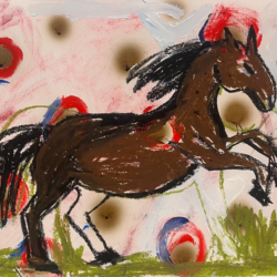 "Stallion"